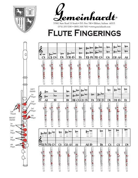 Flute Fingering Chart Amro Music Memphis Tn Artofit