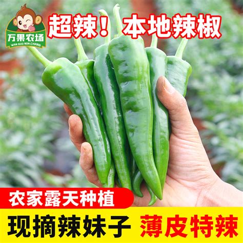 本地辣妹子薄皮土辣椒特辣变态辣农家蔬菜新鲜包邮非樟树港5斤装虎窝淘