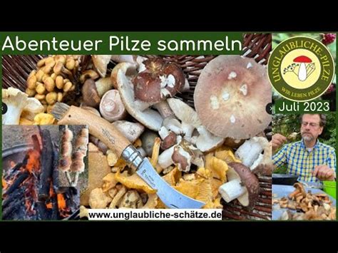 Abenteuer Pilze Sammeln Bunter Pilz Korb Entspannung Juli 2023