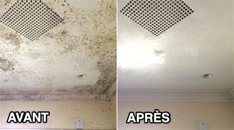 Moisissures Au Plafond Astuces Pour Les Liminer Vite Et Bien