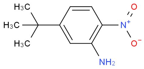 4 Bromo N Tert Butyl 2 Nitroaniline 1135351 95 9 Wiki