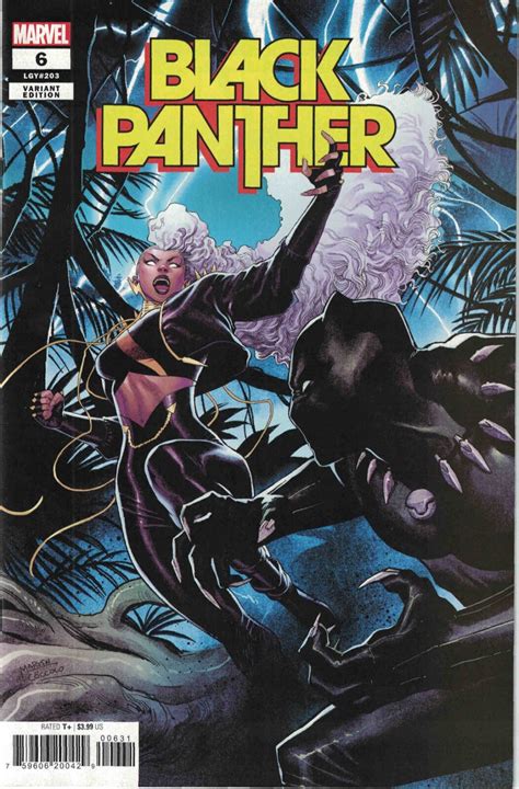 | Black Panther (2022) #6 NM Martin Coccolo 1:25 Storm Black Panther Variant Cover