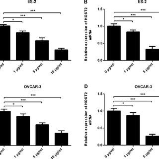 Propofol Inhibits The Activity And Host Expression Of Es And Ovcar