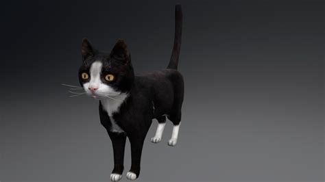 Cat Old Version 2 3d Model By Reddeer Billl90 465c279 Sketchfab