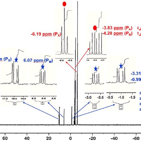 The 31 P Nmr Spectrum Of The Reaction Mixture Of Trans 2c Ansa 2b And