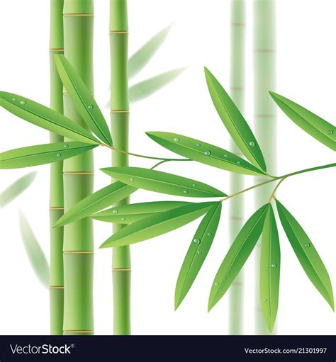 Green Bamboo Stems With Leaves On White Royalty Free Vector