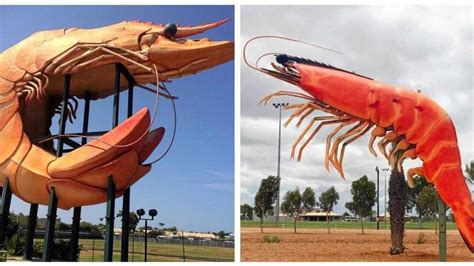 Revealed Whats Happening To The Big Prawn At Ballina Daily Telegraph