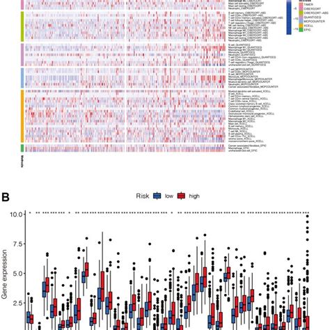 Analysis Of Immune Infiltration And Immune Checkpoint A The