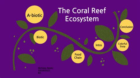 Coral Reef Ecosystem By Nicholas Raney On Prezi