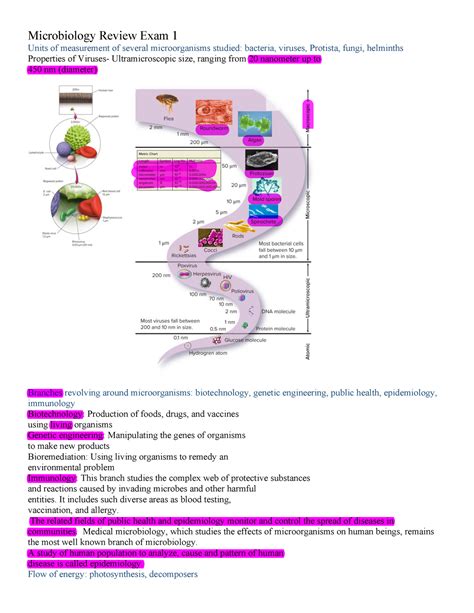 Review Exam 1 Microbiology Notes Chapters 1 7 Microbiology Review