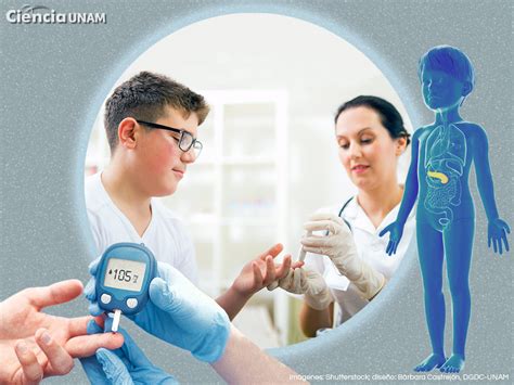 Diabetes En El Embarazo Ciencia Unam