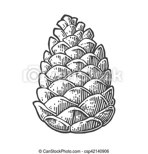 Detail Pinecone Clipart Black And White Koleksi Nomer