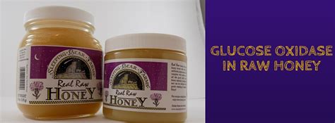 Glucose Oxidase in Honey | Sleeping Bear Farms