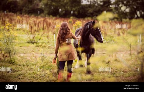 Woman Feeding A Horse Stock Photo Alamy