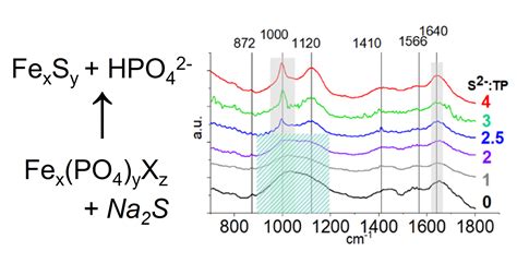 Dissolution Of Iron Phosphate In Anaerobically Digested Biosolids With