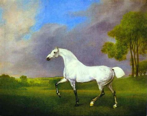 A Grey Horse Painting George Stubbs Oil Paintings