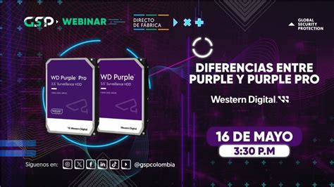 Diferencias Entre Wd Purple Y Wd Purple Pro Webinar Directo De