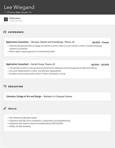 Application Consultant Resume Samples Velvet Jobs