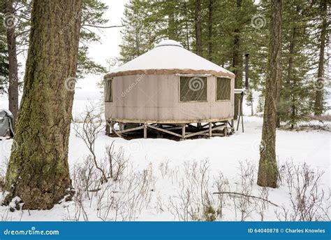 Back Country Yurt Winter Forest with Snow Stock Photo - Image of outdoors, nature: 64040878