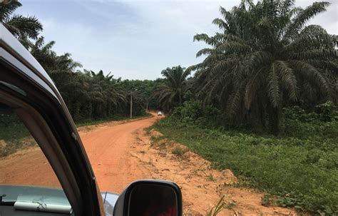 Les plus belles plages de la Côte d Ivoire MAMIEZI