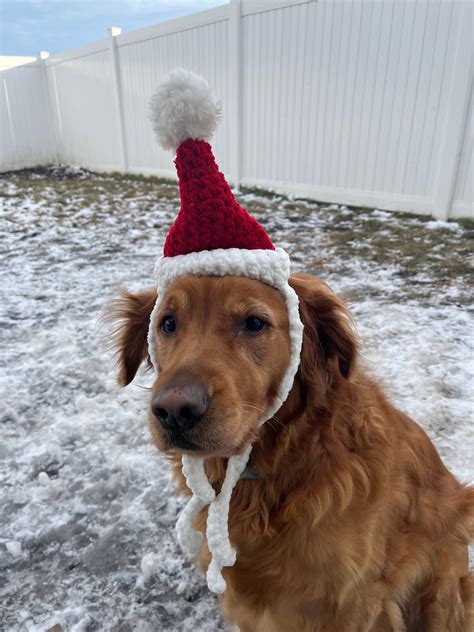 Crochet Dog Santa Hat Pattern - Etsy