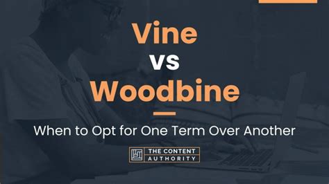 Vine vs Woodbine: When to Opt for One Term Over Another