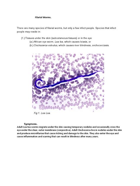 An Overview of Filarial Worm Infections: Causes, Symptoms, and ...