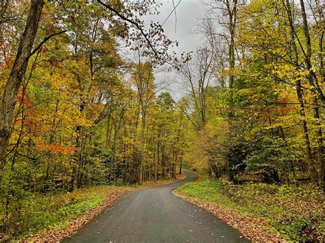 West Virginia Fall Colors Photograph by Collin Westphal - Fine Art America