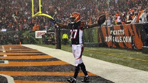 Resumen Nfl Semana Galer A Resumen Nfl Semana Bengals Frenan A