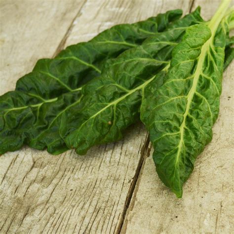 Perpetual Spinach Swiss Chard – Thresh Seed Co.