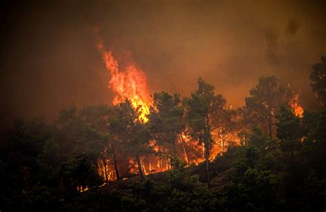 Rodos ta orman yangınıyla mücadele Yerleşim birimlerine ulaştı