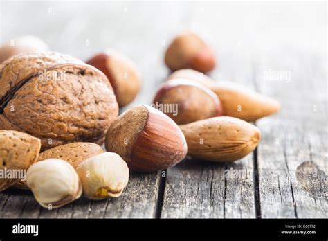 Different Types Of Nuts In The Nutshell Hazelnuts Walnuts Almonds