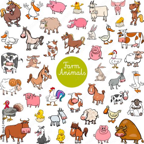 cartoon farm animal characters big set Stock Vector | Adobe Stock