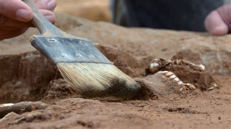 Arch Ologie Methoden Arch Ologie Geschichte Planet Wissen