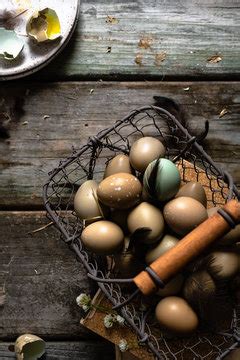 "Pheasant Eggs" Images – Browse 14 Stock Photos, Vectors, and Video ...