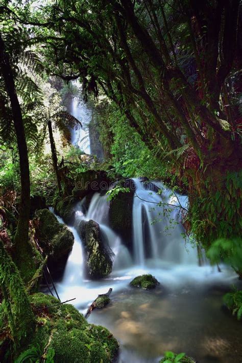 Hidden Waterfall Deep in a Lost Valley Stock Image - Image of forest ...