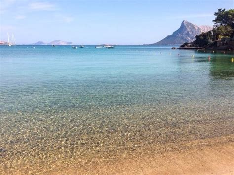 Spiaggia Della Tartaruga San Teodoro 2020 Alles Wat U Moet Weten