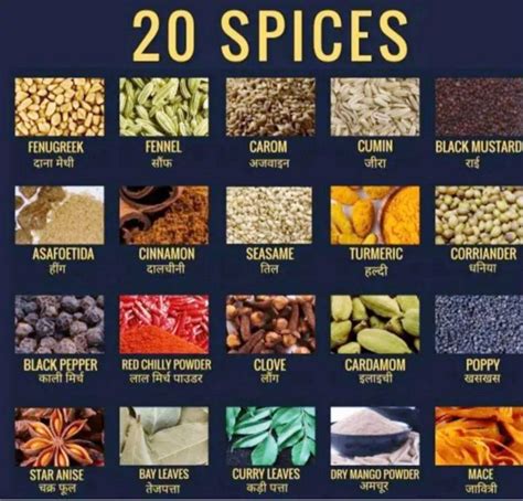 List Of Herbs, Spices Names In English, Hindi And Other, 52% OFF