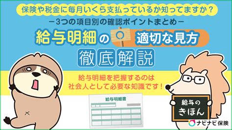 意外と知らない給与明細の適切な見方を徹底解説！3つの項目別の確認ポイントまとめ ナビナビ保険