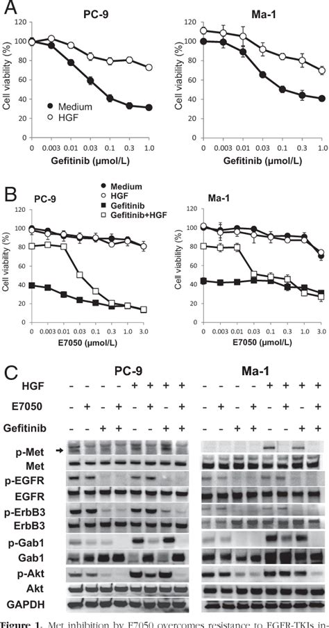 Figure 1 From Tumorigenesis And Neoplastic Progression Dual Inhibition