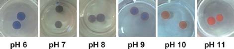 Colorimetric Response To Ph Of Pda Vesicle Bearing Chitosan Sdbs