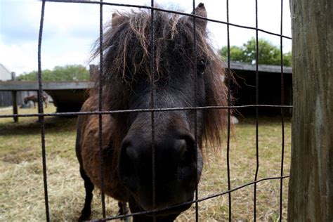 Crossroads Village to offer free admission Saturday - mlive.com