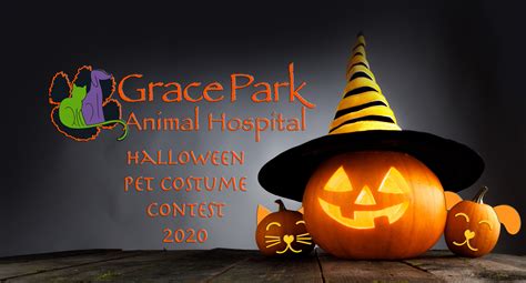 2020 Halloween Pet Costume Contest! - Grace Park Animal Hospital