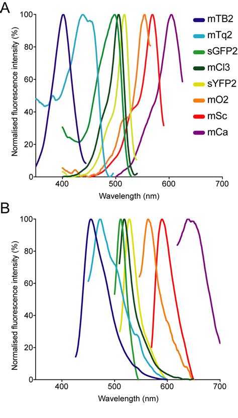 Normalised A Absorption And B Emission Spectra Of The Fluorescent