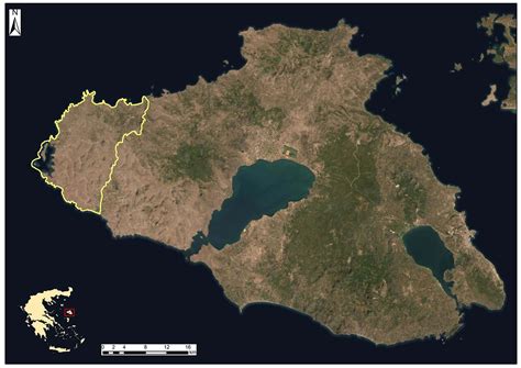 Lesvos Early Miocene Petrified Forest Iugs