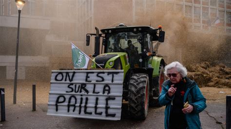 Protestos De Agricultores Na Fran A O Que Querem Os Coletes Verdes