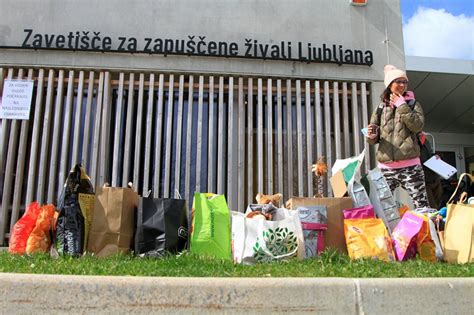 Zavetišče Ljubljana Praznuje Okroglo Obletnico