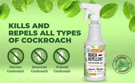 Mighty Mint 16oz Cockroach Repellent Natural Peppermint Oil Spray Health And Household