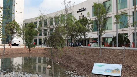 Inauguran Primer Museo Vivo En Nl Con Plantas Y Rboles Nativos Del