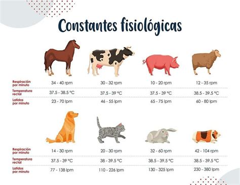 Constantes Fisiol Gicas De Diferentes Especies Fraii Udocz